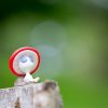 3 5cm Cartoon anime Pikmin mushroom alien Action Figures Dolls PVC plant model toy 4 - Pikmin Shop